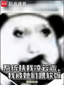 系统扶我凌云志,我被她们喂软饭 系统扶我凌云志,我被她们喂软饭