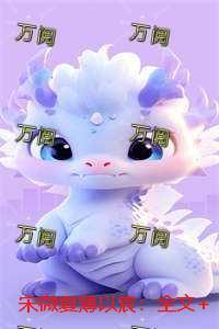 宋微夏薄以宸：全文+后续