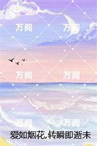 爱如烟花，转瞬即逝未删减：结局+番外