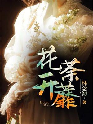 花开荼蘼 花开荼蘼