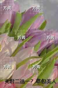 夫君二选一?草包美人吓哭了:无弹窗 夫君二选一?草包美人吓哭了:无弹窗